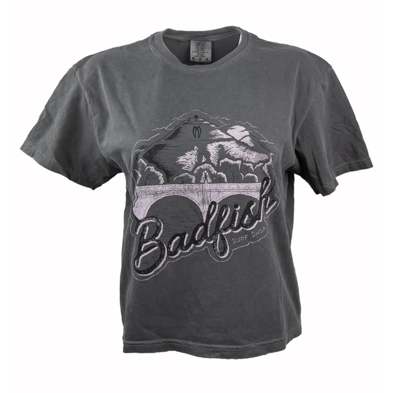 S Mountain/Bridge Boxy Crew T-Shirt