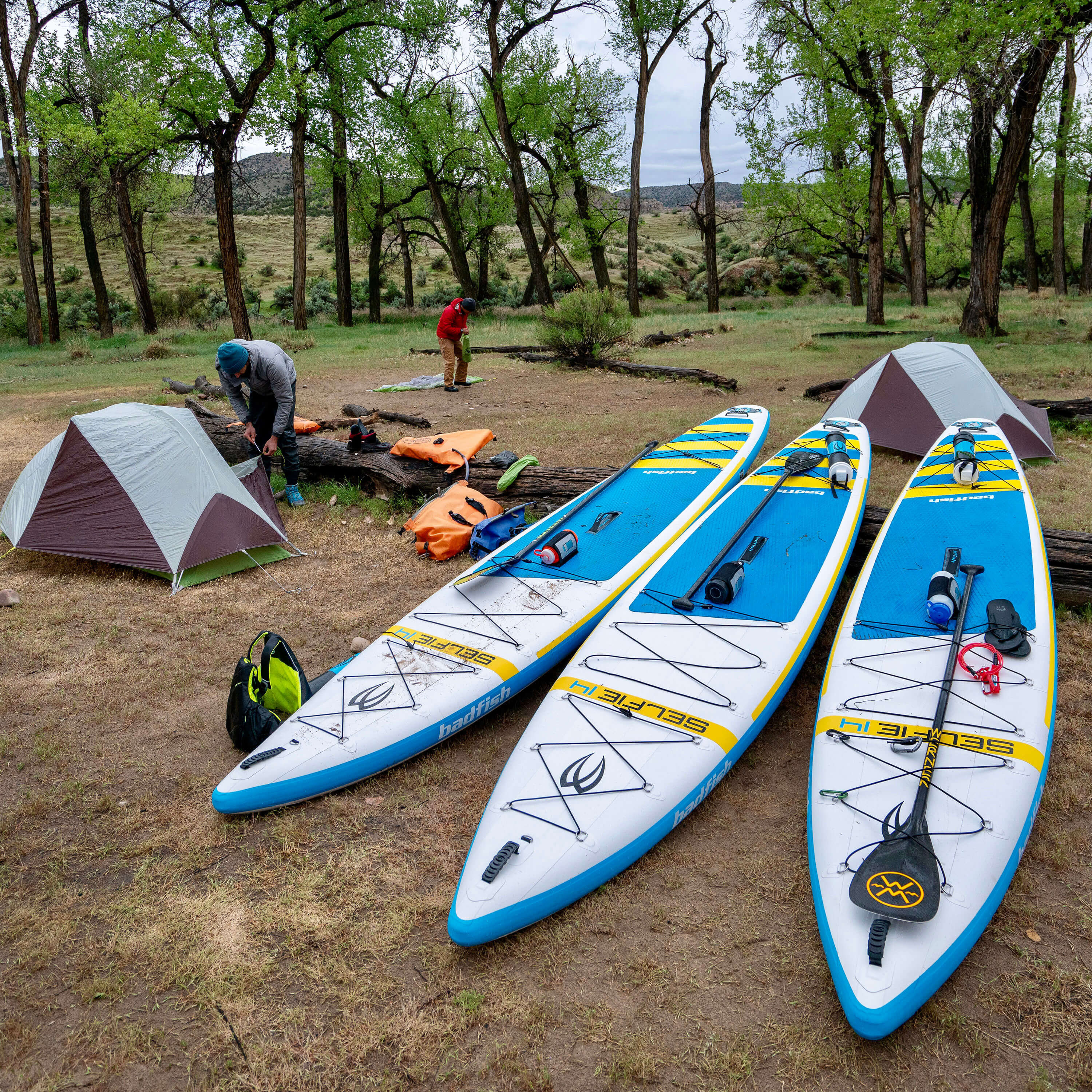 雪板2枚　140Spoonfish 120fish 雪板2枚 140Spoonfish 120fish