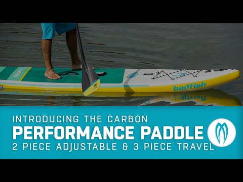 2 Piece Carbon Performance Paddle - SUP & River Surfing
